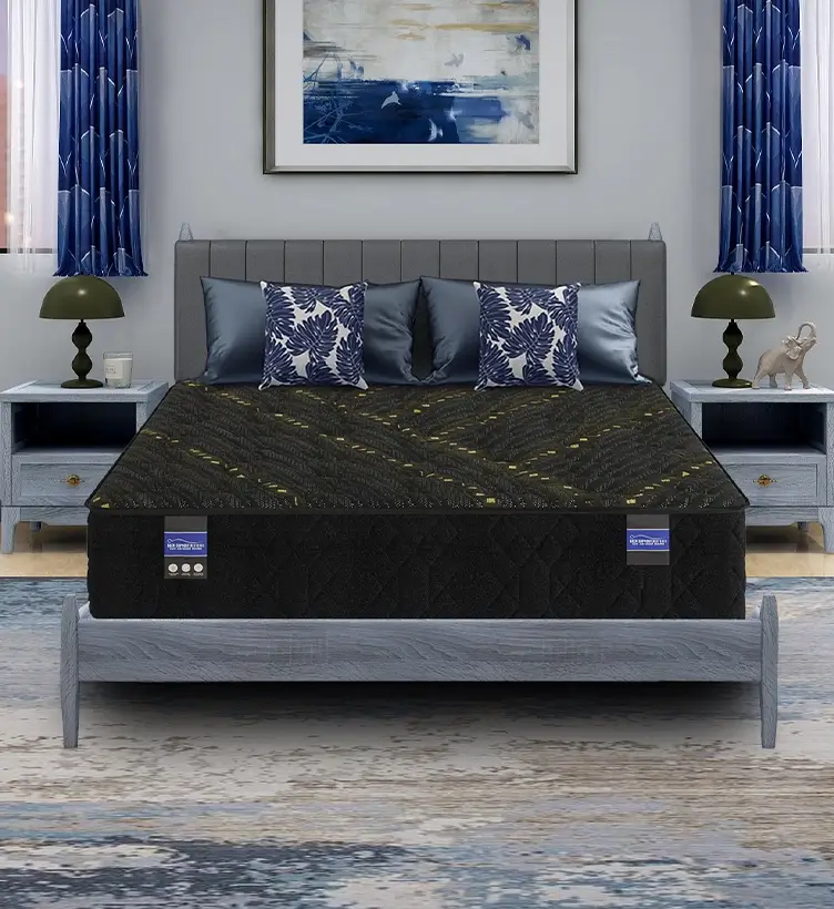 Spring Air Mattress Showcase